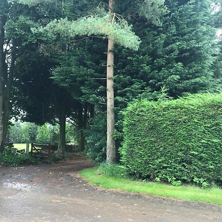 The Stables Near Glasgow Balmore 外观 照片